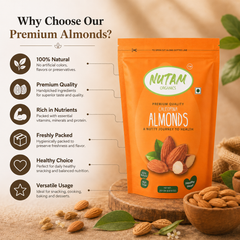 Premium Quality California Almonds