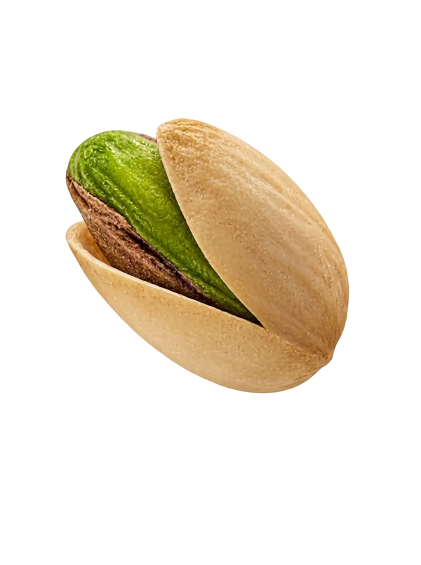 Pista
