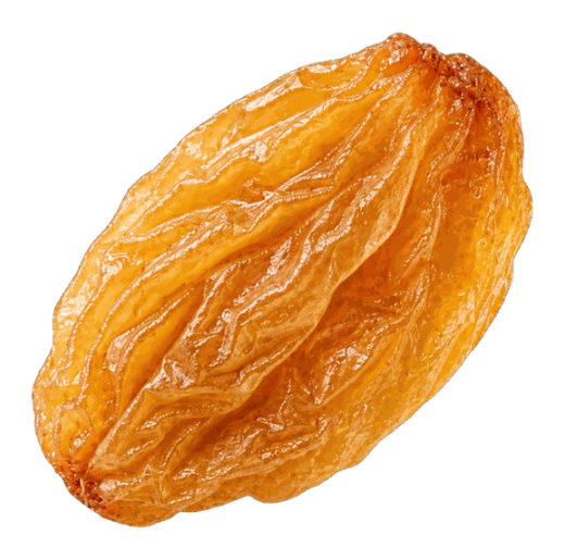 Raisin