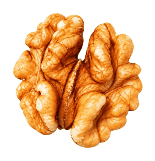 Dry Fruits